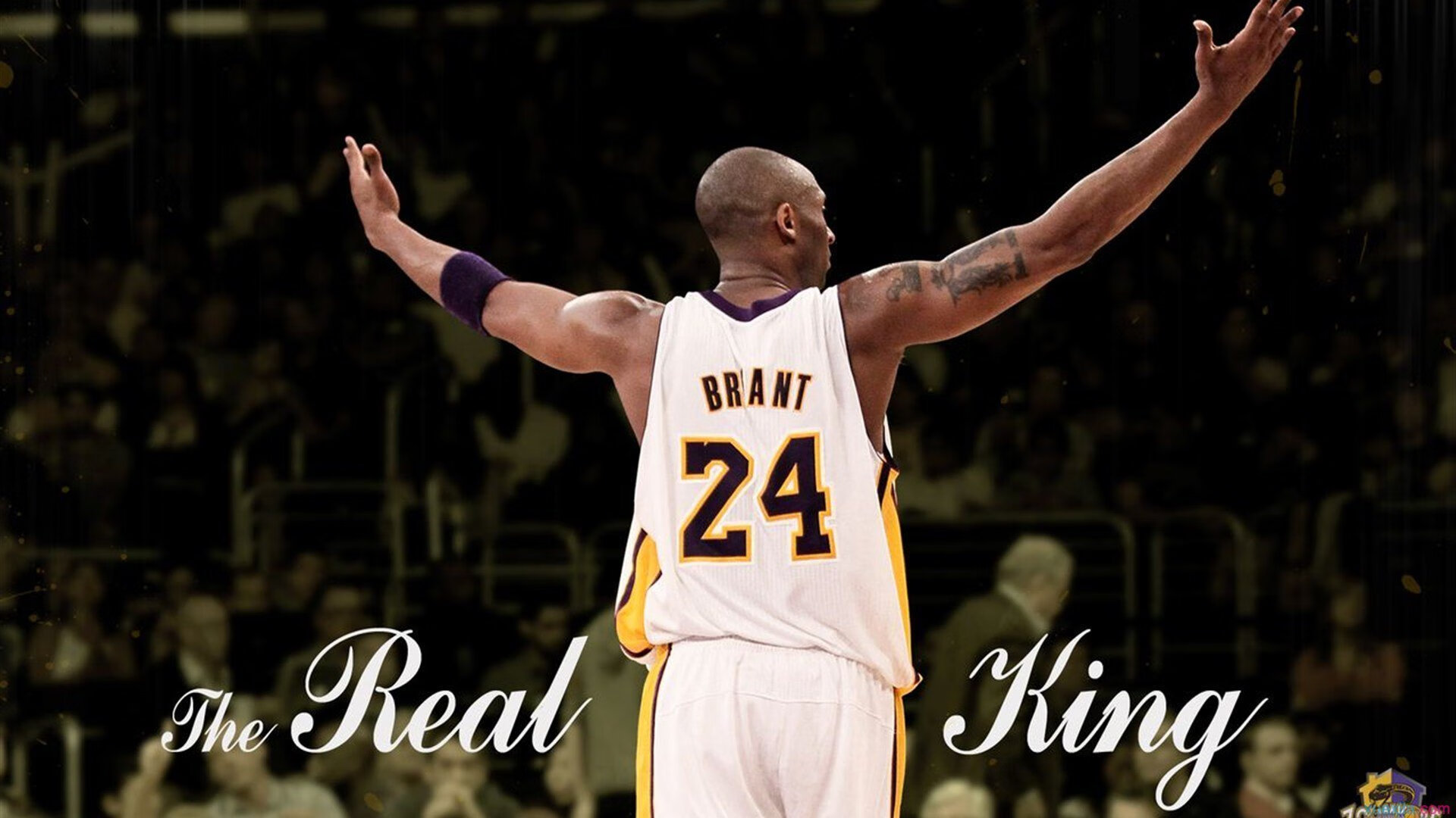 【冠军风采】超级球手的日常训练与生活，超级球王 最新章节 无弹窗